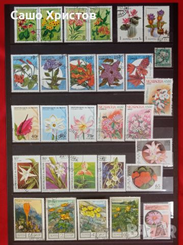 Пощенски марки тема ”Растения”., снимка 4 - Филателия - 45653043