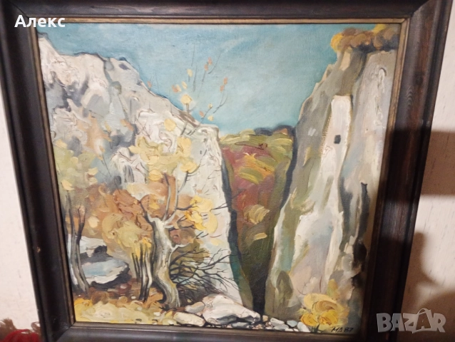 Мая Дочева!