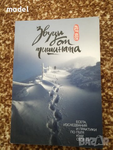 Звуци от тишината - Мартин Иванов , снимка 1 - Художествена литература - 47914031