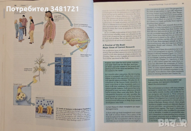 Biological Psychology. An Introduction to Behavioral, Cognitive and Clinical Neuroscience, снимка 7 - Специализирана литература - 53251130