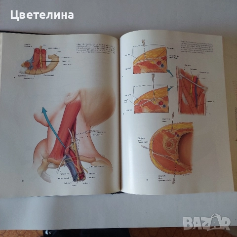 Учебник по анестезиология на английски език, снимка 3 - Специализирана литература - 51666270