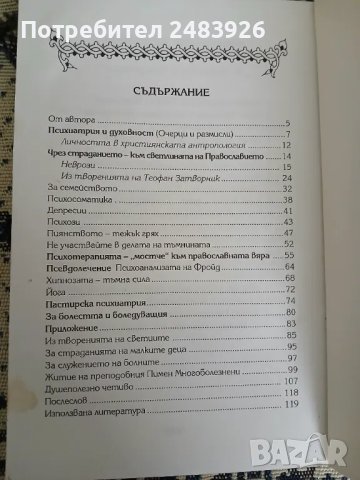 Православна психиатрия  Димитрий А. Авдеев, снимка 2 - Други - 49524267