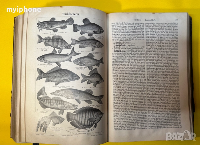 Стара Книга Справочна Работа с Общи Познания 1897 г., снимка 8 - Антикварни и старинни предмети - 52787433