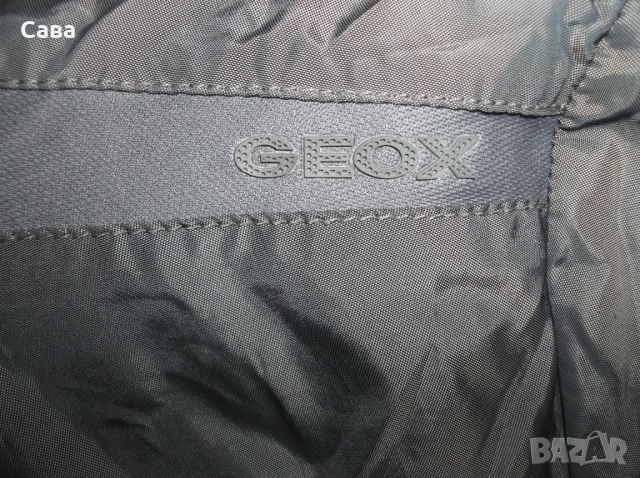 Яке пролет,есен  GEOX  мъжко,ХЛ, снимка 6 - Якета - 52298439