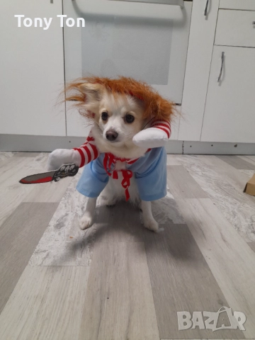 Дрехи за куче , снимка 4 - За кучета - 52553909
