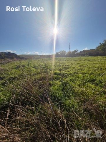 Парцел в с. Бисер, ул. Калоян , снимка 3 - Парцели - 36322558