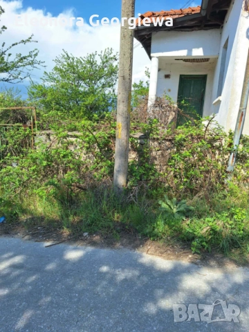 Имот с.Горна Василица 