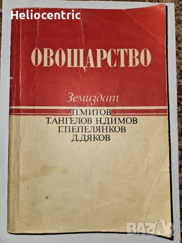 Овощарство