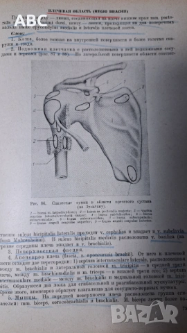 Оперативна хирургия с топографска анатомия, снимка 3 - Специализирана литература - 54241150