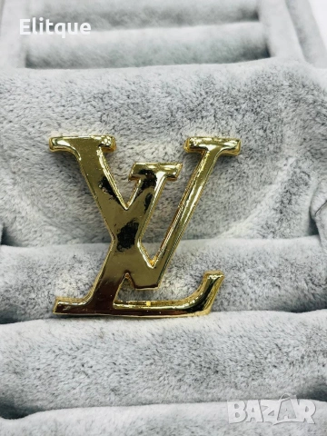 брошка от висококачествена стомана Christian Dior loewe Louis Vuitton wang Gucci , снимка 3 - Други - 53058385