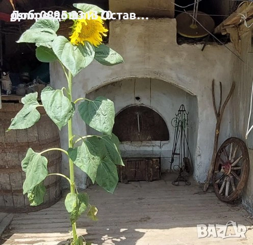 Дървена стара кутия за стена с капак, дървен чук, точилка, комплект за камина, снимка 17 - Антикварни и старинни предмети - 29729469