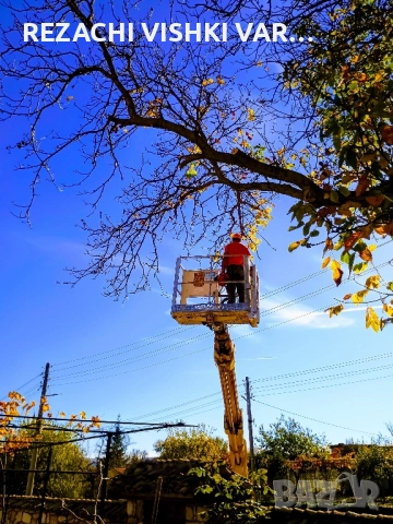 АВТОВИШКА ДО 30 М ВАРНА, КАСТРЕНЕ И ПРЕМАХВАНЕ НА ОПАСНИ ДЪРВЕТА, ПОЧИСТВАНЕ НА ПОЗЕМЛЕНИ ИМОТИ, снимка 6 - Автопарк - 52417795
