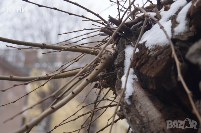 SONY ALPHA SLT A A58 A MOUNT , снимка 14 - Фотоапарати - 53409998