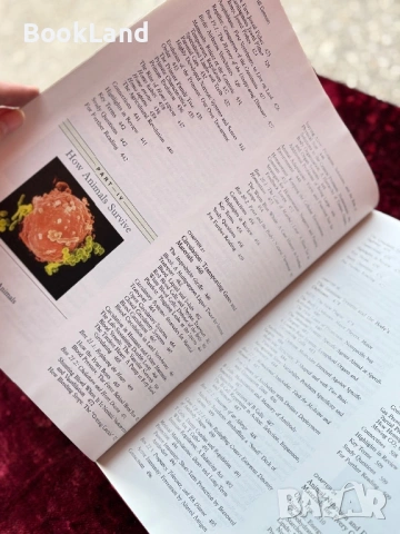 The nature of life, снимка 9 - Художествена литература - 53948126