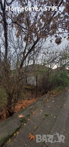 Дворно място, Димитровград, снимка 11 - Парцели - 52567666