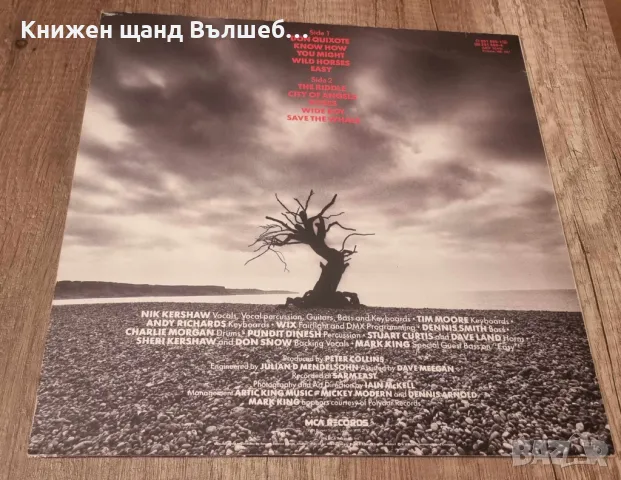 Грамофонни Плочи - Поп - Рок: Nik Kershaw - The Riddle, снимка 2 - Грамофонни плочи - 47497128