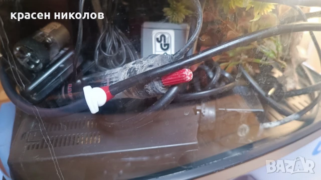 Самоподдържащ се Аквариум и принадлежности, снимка 5 - Аквариуми - 48918389