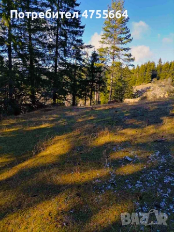 УПИ на Роженски поляни , снимка 5 - Парцели - 53716919