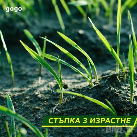 подложка с тревни семена , снимка 4 - Други стоки за дома - 53774126