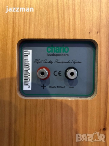 Chario Syntar 200 Tower – Италиански Hi-Fi подови тонколони, снимка 9 - Тонколони - 53797555