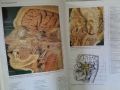 Продавам ; Color atlas of anatomy: A photographic study of the human body  , снимка 5