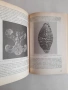Комплект 3 книги по митология и български фолклор – Венедиков и Батаклиев, снимка 10