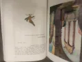 Продавам стар учебник по италиански  " Primo libro di Italiano. Per la 4. classe del ginnasio "  , снимка 8