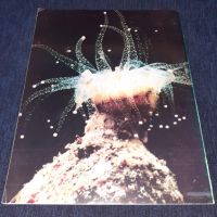 Списание Космос брой 1 от 1978 год., снимка 2 - Списания и комикси - 45630837