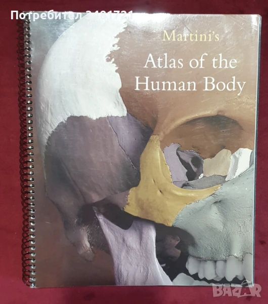 Martini's Atlas of the Human Body, снимка 1