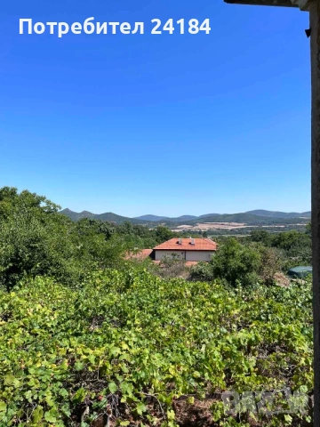 Продавам стара къща с двор в с.Близнец, снимка 5 - Къщи - 53810360