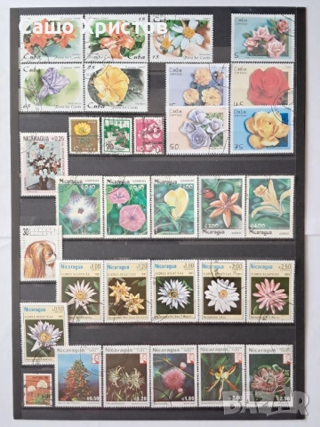 Пощенски марки тема ”Растения”., снимка 5 - Филателия - 53981322