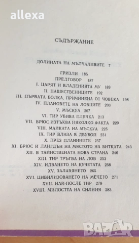 " Долината на мълчаливите ", снимка 4 - Художествена литература - 13625450