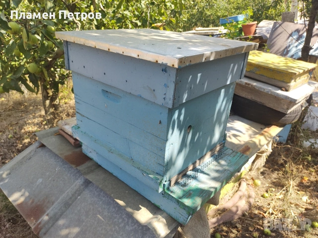 Кошери и магазини , снимка 6 - За пчели - 53787677