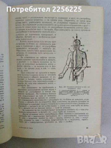 Анатомия на човека, снимка 9 - Специализирана литература - 47319367