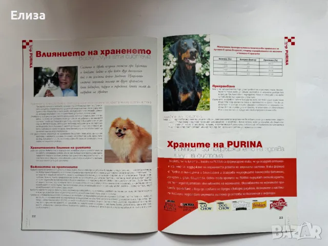 Purina Клуб брой 11, април 2007, снимка 13 - Списания и комикси - 47087367