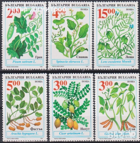 Чисти марки Авиация Самолети Фауна Минерали Флора Кино 1995 от България , снимка 11 - Филателия - 52829409