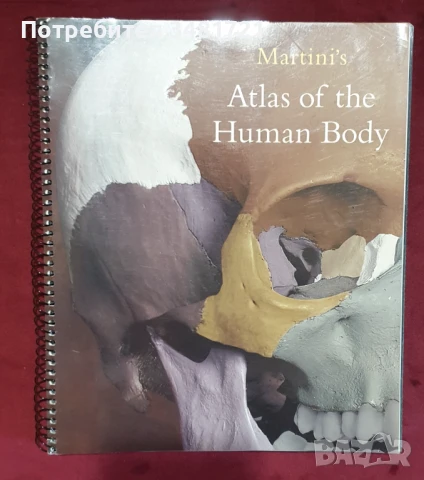 Martini's Atlas of the Human Body, снимка 1