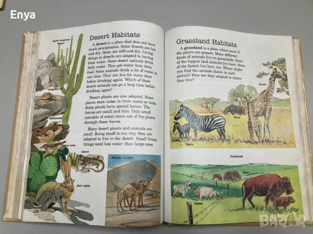 Детска енциклопедия на английски език Accent on Science, снимка 13 - Детски книжки - 50930127