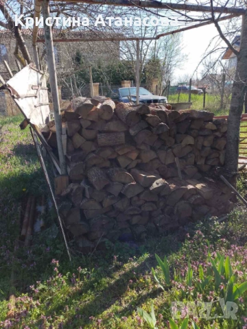 Дърва за огрев на изгодна цена (Пчелина, Варна), снимка 4 - Дърва за огрев - 54132141