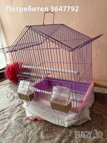 Два папагала в комплект с две клетки, снимка 4 - Папагали - 52559148