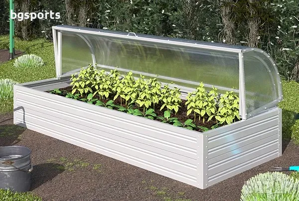 Оранжерия Астра