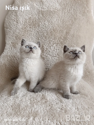 в Хасково Момиченца не са красиви те са уникални 