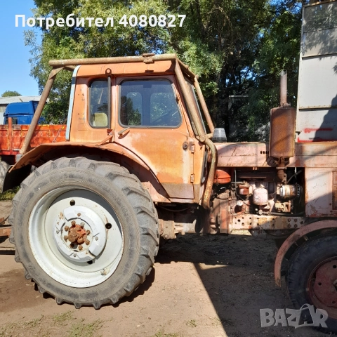 Трактор МТЗ 80 с дискова брана 2,80 м., снимка 6 - Селскостопанска техника - 51775156