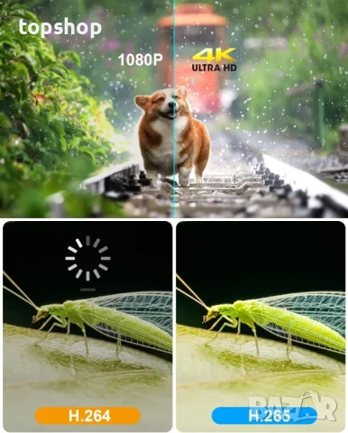 НОВ ТЕСТВАН тв бокс P297 TV Box Quad-Core CPU 4GB RAM 32GB ROM 2.4Ghz/5.0Ghz WiFi 10/100M, снимка 7 - Плейъри, домашно кино, прожектори - 50501228