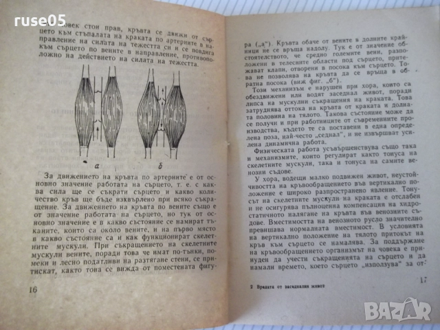 Книга "Вредата от заседналия живот-Гавраил Николов"-28 стр., снимка 5 - Специализирана литература - 52792379