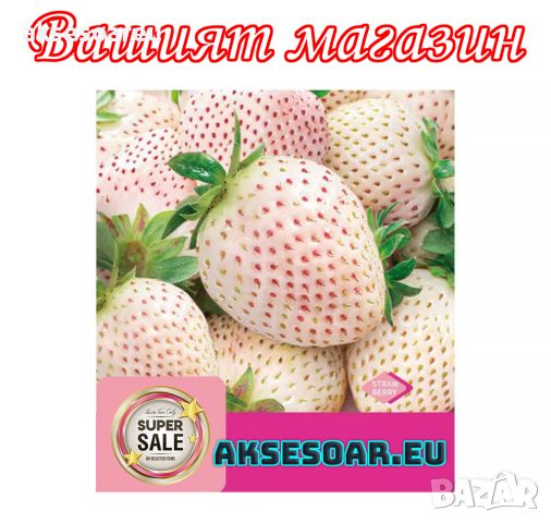 100 семена от плод бяла ягода органични плодови ягодови семена от вкусни ягоди отлични плодове с мно, снимка 2 - Сортови семена и луковици - 46471597