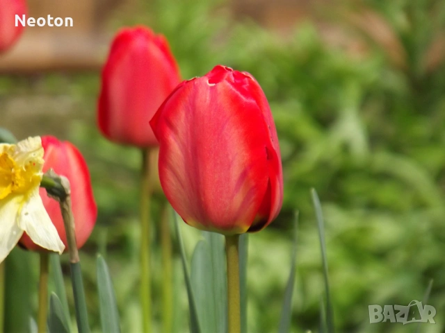 Цифров фотоапарат FUJIFILM Finepix S2980, снимка 13 - Фотоапарати - 54237940