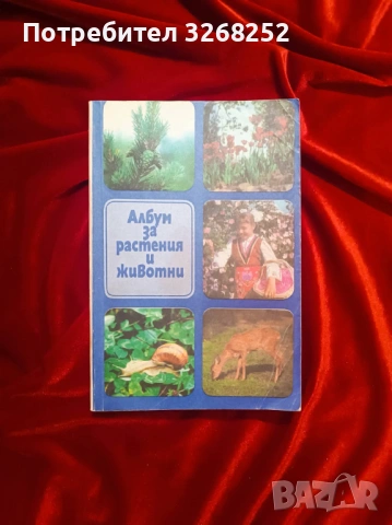 Книги , снимка 2 - Специализирана литература - 53076558