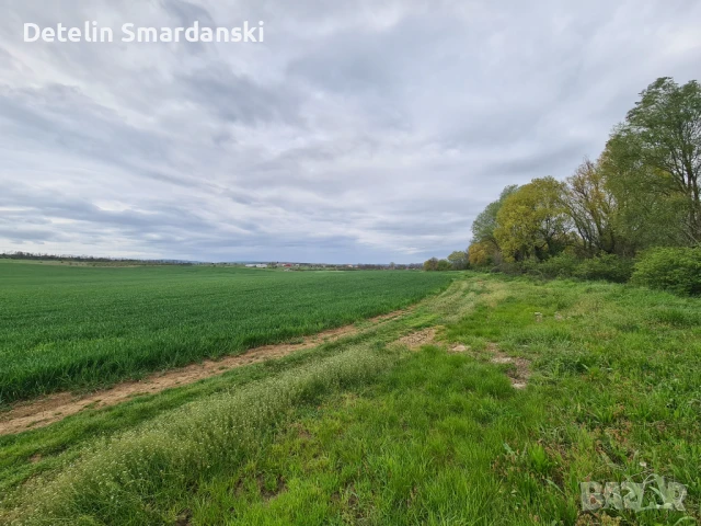 Поземлен земеделски имот , снимка 10 - Земеделска земя - 50649780