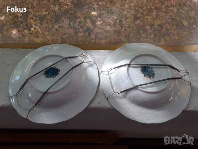 Стар порцелан колекционерски чинии LIMOGES, снимка 4 - Антикварни и старинни предмети - 53408926